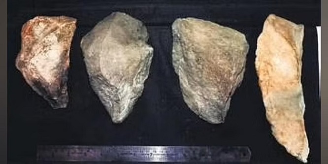 Tools Believed To Be From Paleolithic Age Discovered In Odisha’s Rayagada