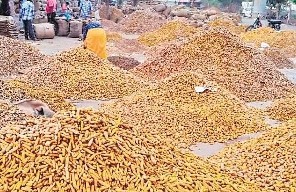 Odisha’s Kandhamal Turmeric & Koraput Ginger To Hit European Markets