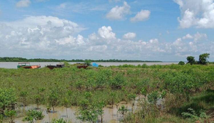 Today is World Mangrove Day: 46 families donated 25 acres of land for mangrove forests of Bhitarkanika, Odisha.