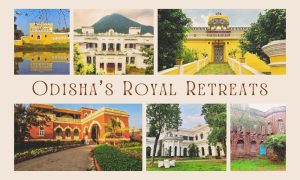 Odisha's Royal Retreats: A Luxurious Journey Through Time