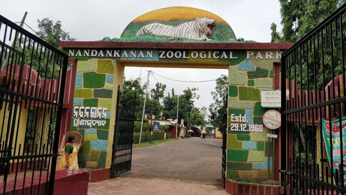 Bhubaneswar's Nandankanan Zoo celebrates its 64th foundation day today