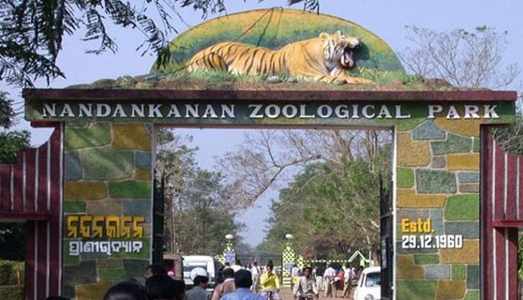 Bhubaneswar's Nandankanan Welcomes 18 New Inmates from Ranchi Zoo